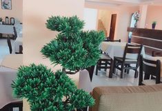 기타 6 Hotel Amayal