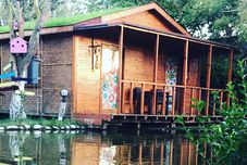 기타 Otantik Tas Ev