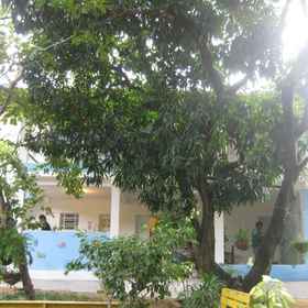 Primary image 1 카사 데 템포라다 다스 망게이라스, Rua Moeda 호텔