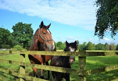 Lain-lain 5 Royal Umpire Caravan Park