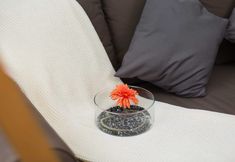 기타 2 Times Square 1 by Plush