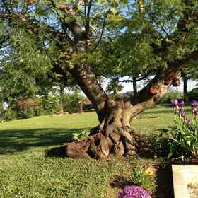 Primary image 1 BB Infinito, Bolognola Hotels