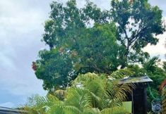 其他 6 Anaira Hostel