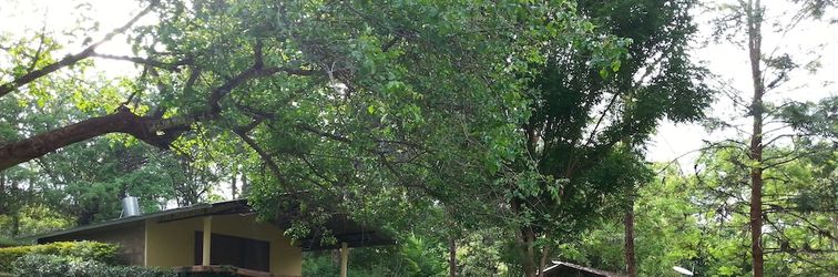 其他 Savage Wilderness - Hostel