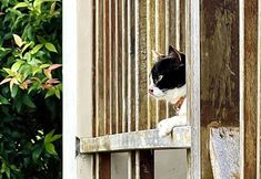 Others 3 Lantala Residence