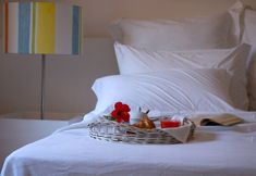 その他 2 Fuoridalguscio