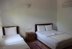 기타 7 Alibaba Pension