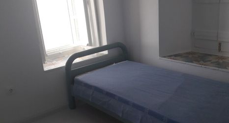 기타 2 Lotus Sweet Home Hydra