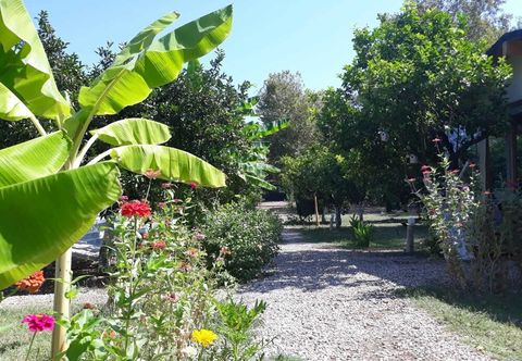 Others Bellerofon Camping