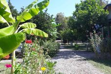 Others Bellerofon Camping