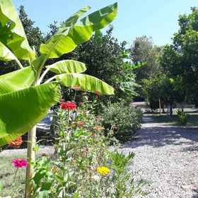 Primary image 1 Bellerofon Camping, Hotel Kemer