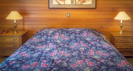 その他 2 Pousada Cedro do Líbano