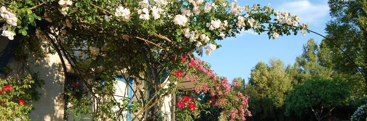 기타 B&B Vento Di Rose