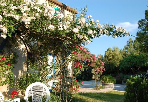 기타 B&B Vento Di Rose