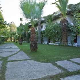 Primary image 1 Damnoni Paradise, Dimos Agios Vasileios Hotels