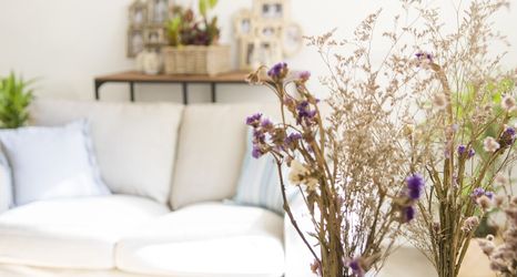 Others 2 Palazzo Spasiano