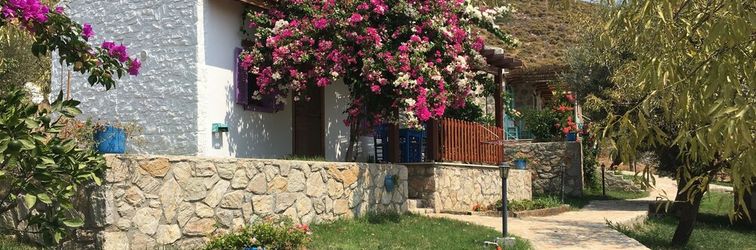 Others Koy Evi Apart