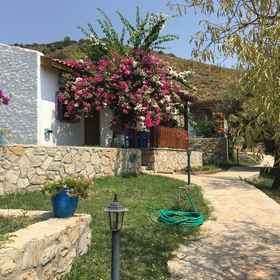 Primary image1科耶威公寓飯店,达特恰区飯店