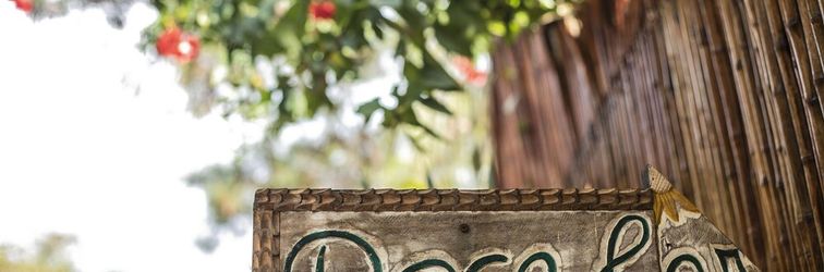 อื่นๆ Doce lar hostel noronha