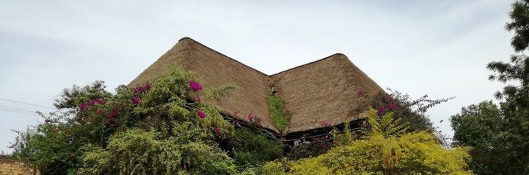 其他 Lovisa Country Hotel