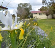 Others 5 Wattle Motel