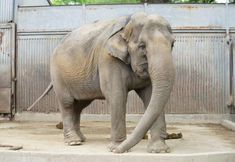 その他 6 Richmond Hotel Utsunomiya Ekimae