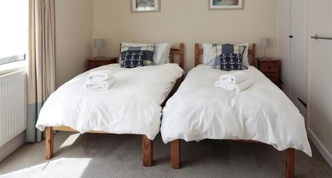 其他 2 Green Door - Marigold