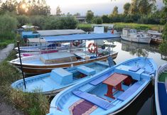 Lain-lain 5 Altin Konaklari