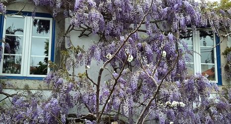 Others 2 Villa Casa do Sobral