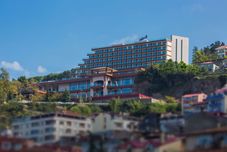 其他 Radisson Blu Hotel Trabzon