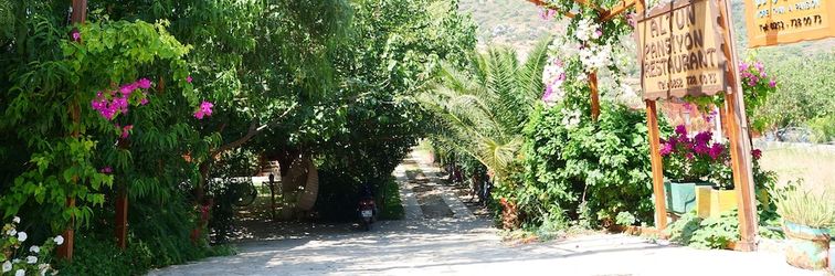 อื่นๆ Elly's Home