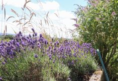 Lainnya 7 Cottam Cottage Farm