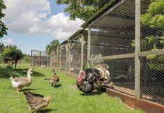 기타 5 Betty's Barn