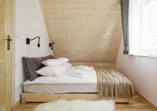 其他 4 Tatra Wood House