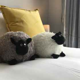 Primary image1加地夫旅館,格兰奇敦公寓