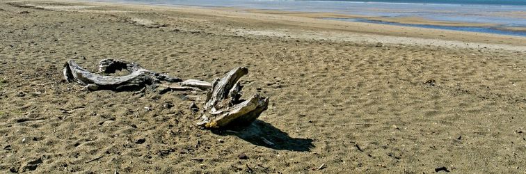 Others Auckland Hauraki Modern Guest House