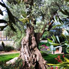 Primary image 1 마이 방갈로, 다차 지역 호텔