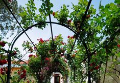 Lainnya 2 Olive Farm Of Datca