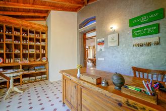 その他 4 Olive Farm Of Datca