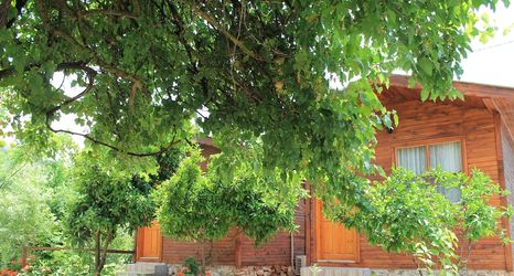 기타 2 Olympos Simar Pansiyon