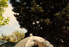 Lainnya 5 Teos Sanat Kampi