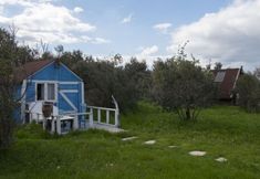 Lainnya 4 Teos Sanat Kampi