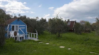 Lainnya 4 Teos Sanat Kampi