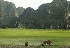 其他 7 Zuli Zen Home