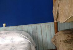 其他 3 Hospedaje Los Pinos