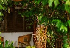 其他 2 Pousada do Sonho