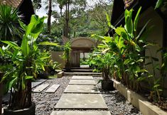 기타 2 Montra Samui