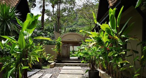 기타 2 Montra Samui