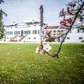 Primary image 1 Villa Dragoni, Fiumicello Hotels