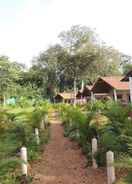 Primary image Jungle Nest Homestay